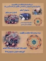 سردشت نماد استقامت و مظلومیت